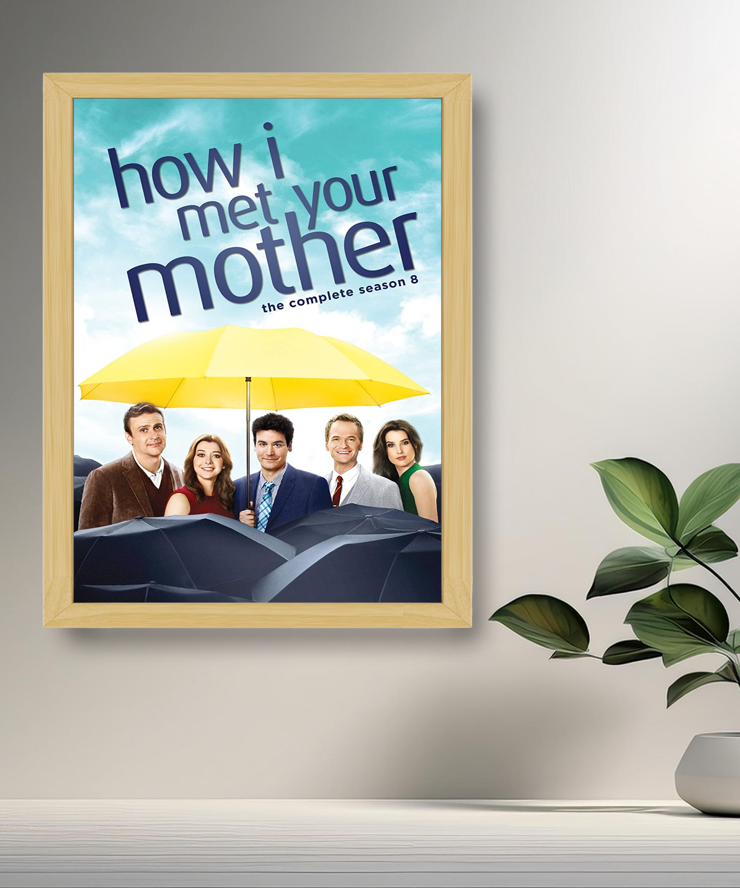 Cadre photo How I met your mother