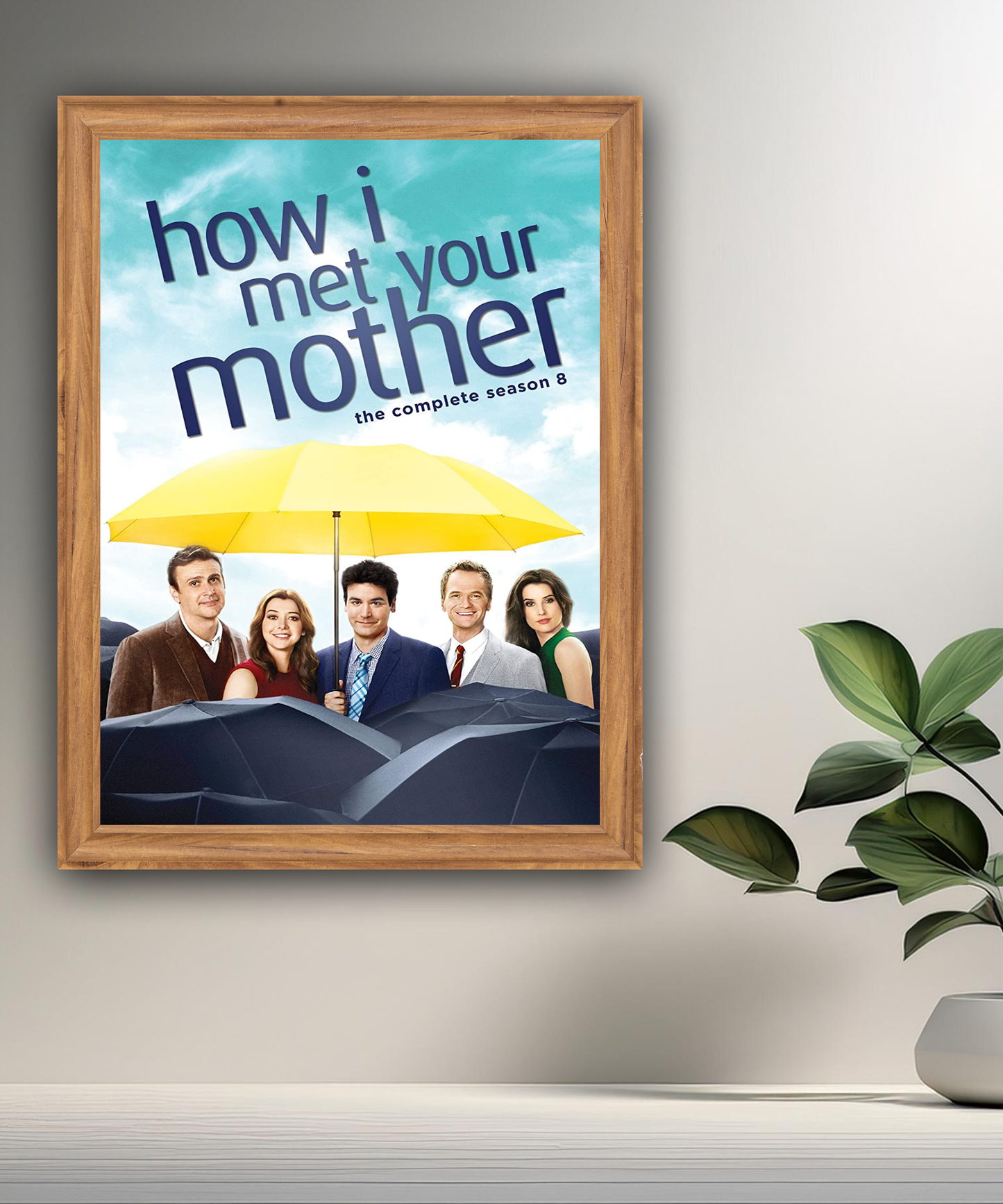 Cadre photo How I met your mother
