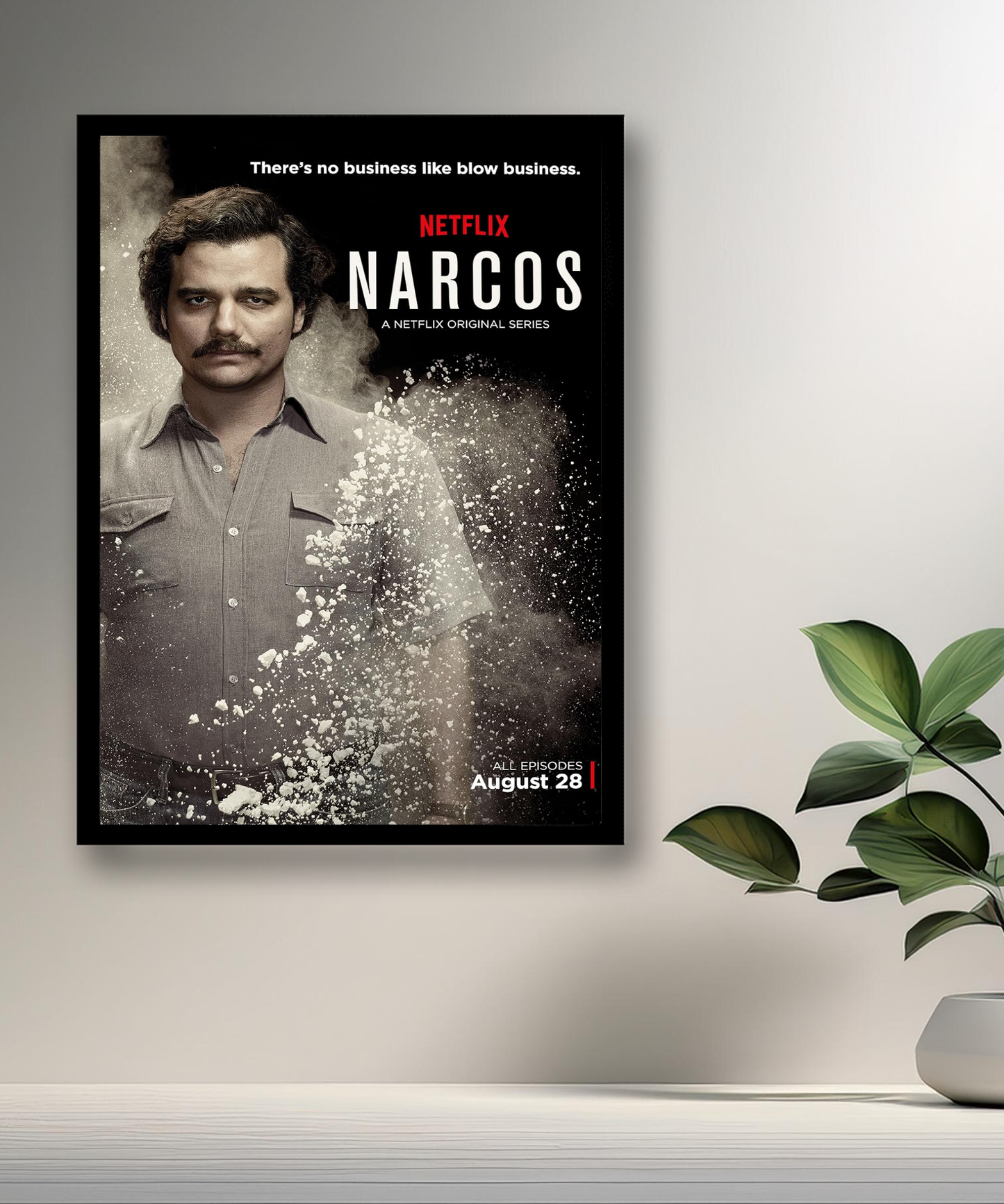 Cadre photo Narcos