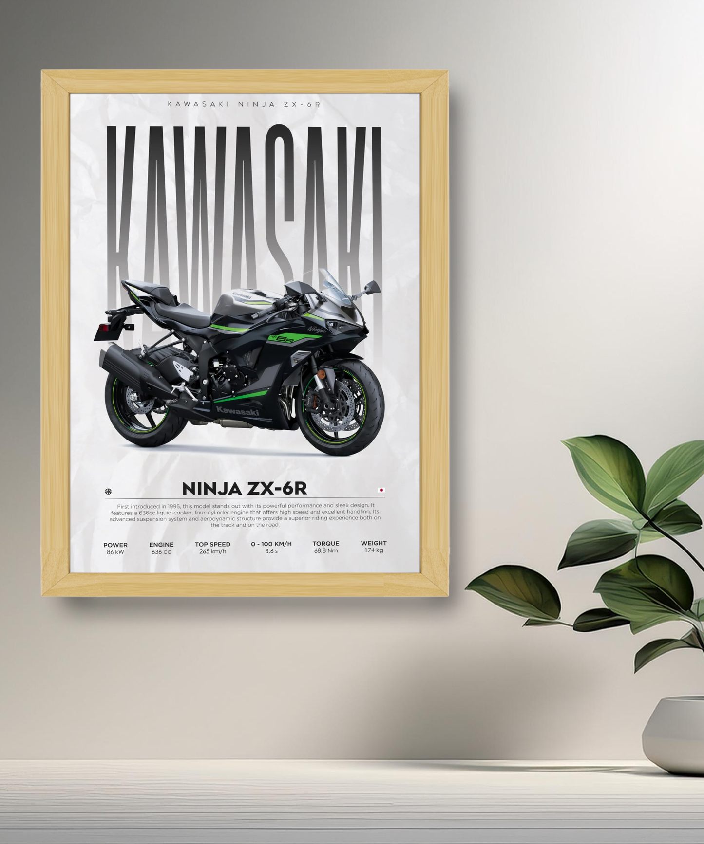 Cadre photo Kawasaki Ninja ZX-6R