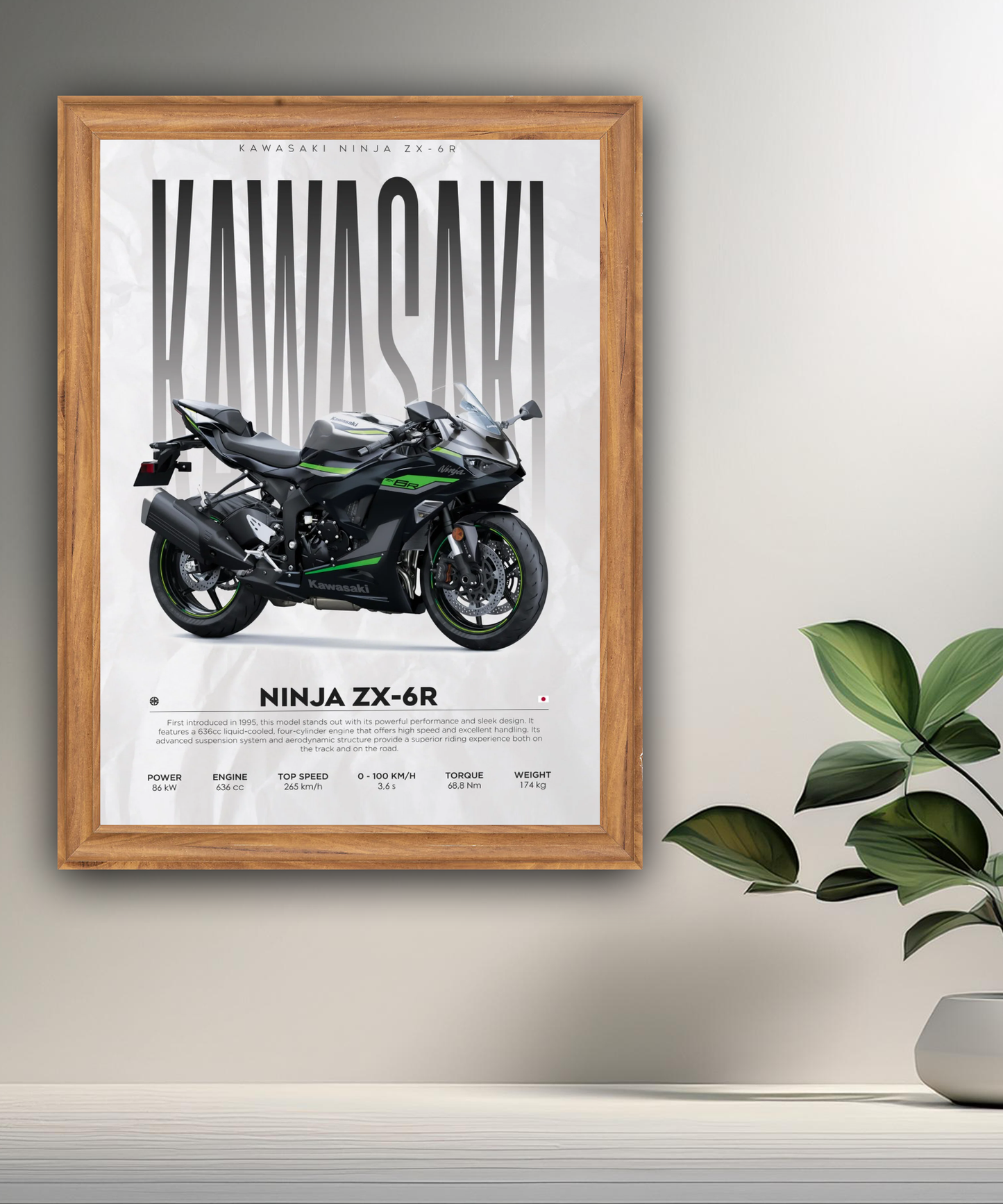 Cadre photo Kawasaki Ninja ZX-6R