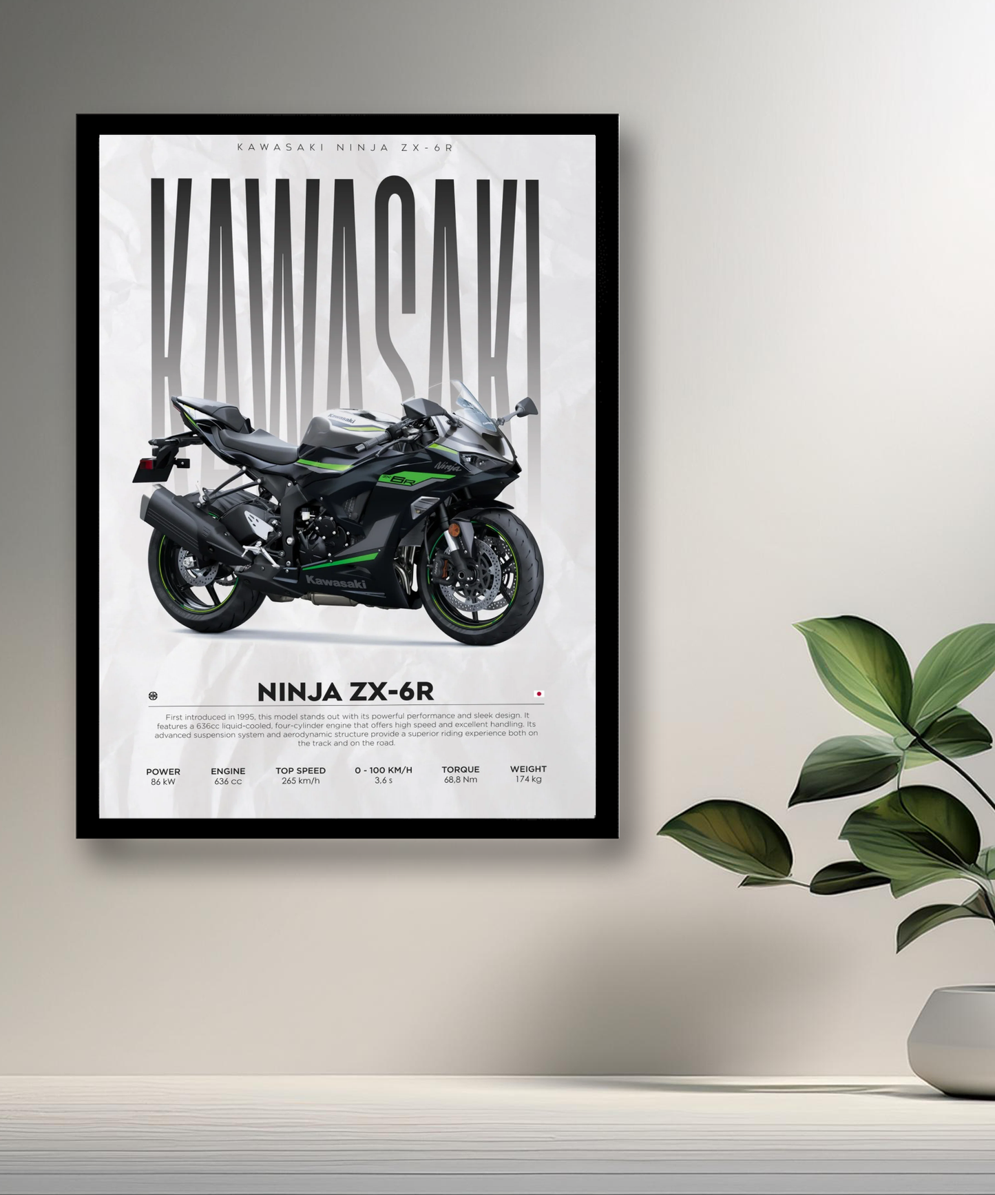 Cadre photo Kawasaki Ninja ZX-6R