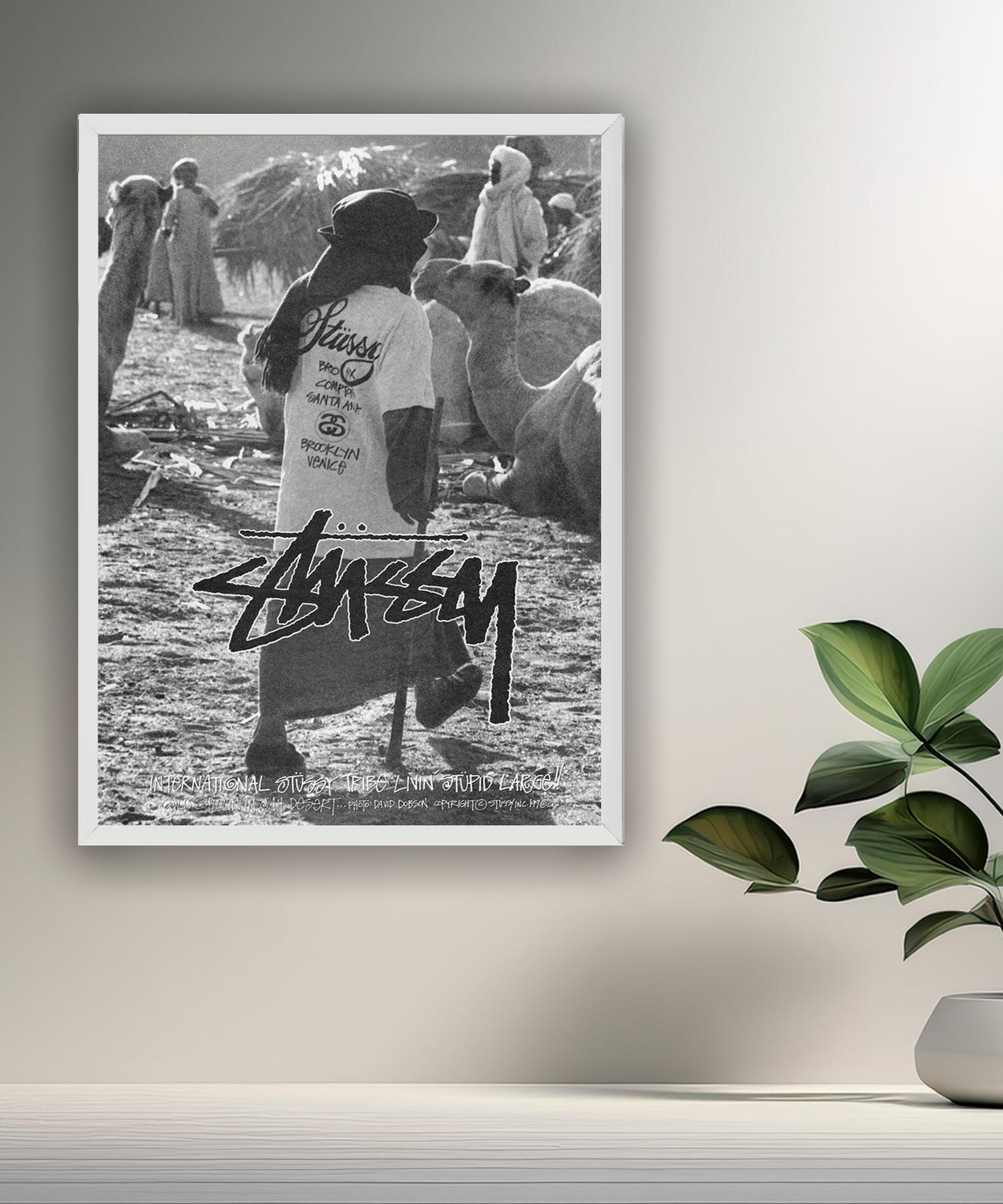 Cadre photo Stüssy