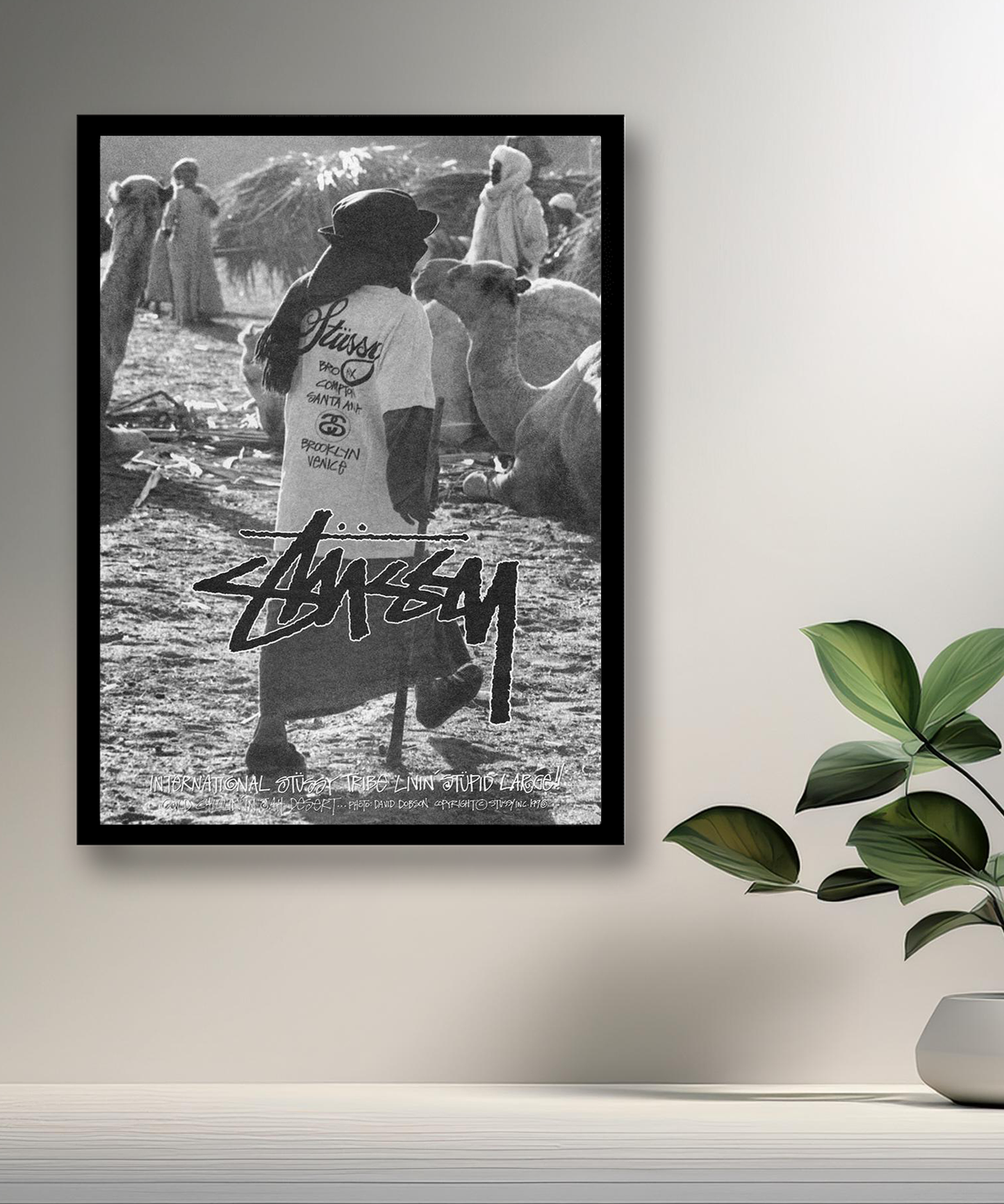 Cadre photo Stüssy