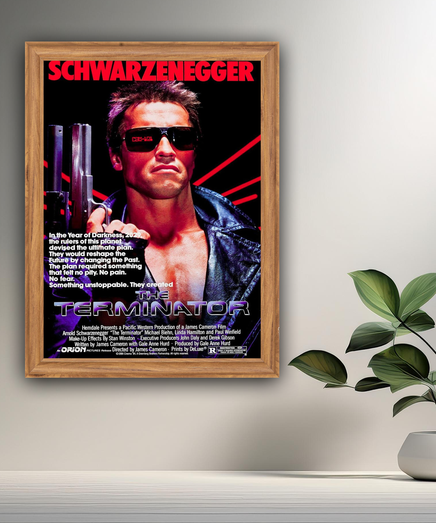 Cadre photo Terminator