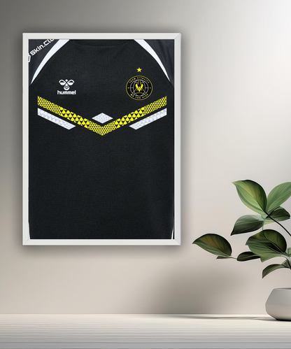 Cadre photo Team Vitality maillot noir