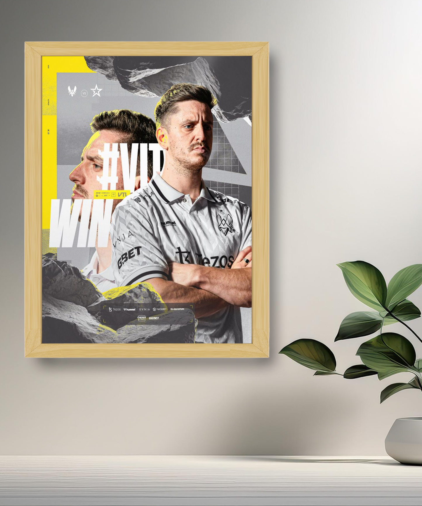 Cadre photo Team Vitality