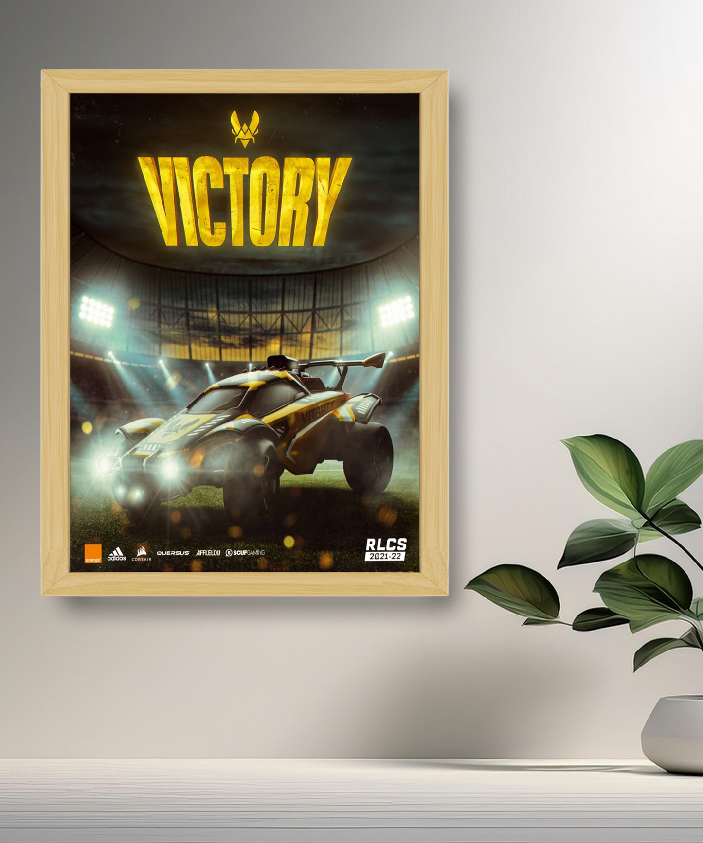 Cadre photo Team Vitality Victory