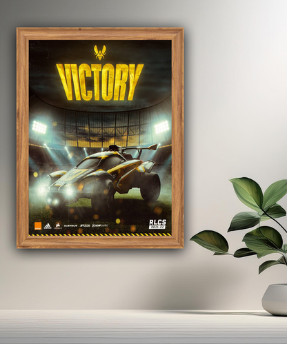 Cadre photo Team Vitality Victory