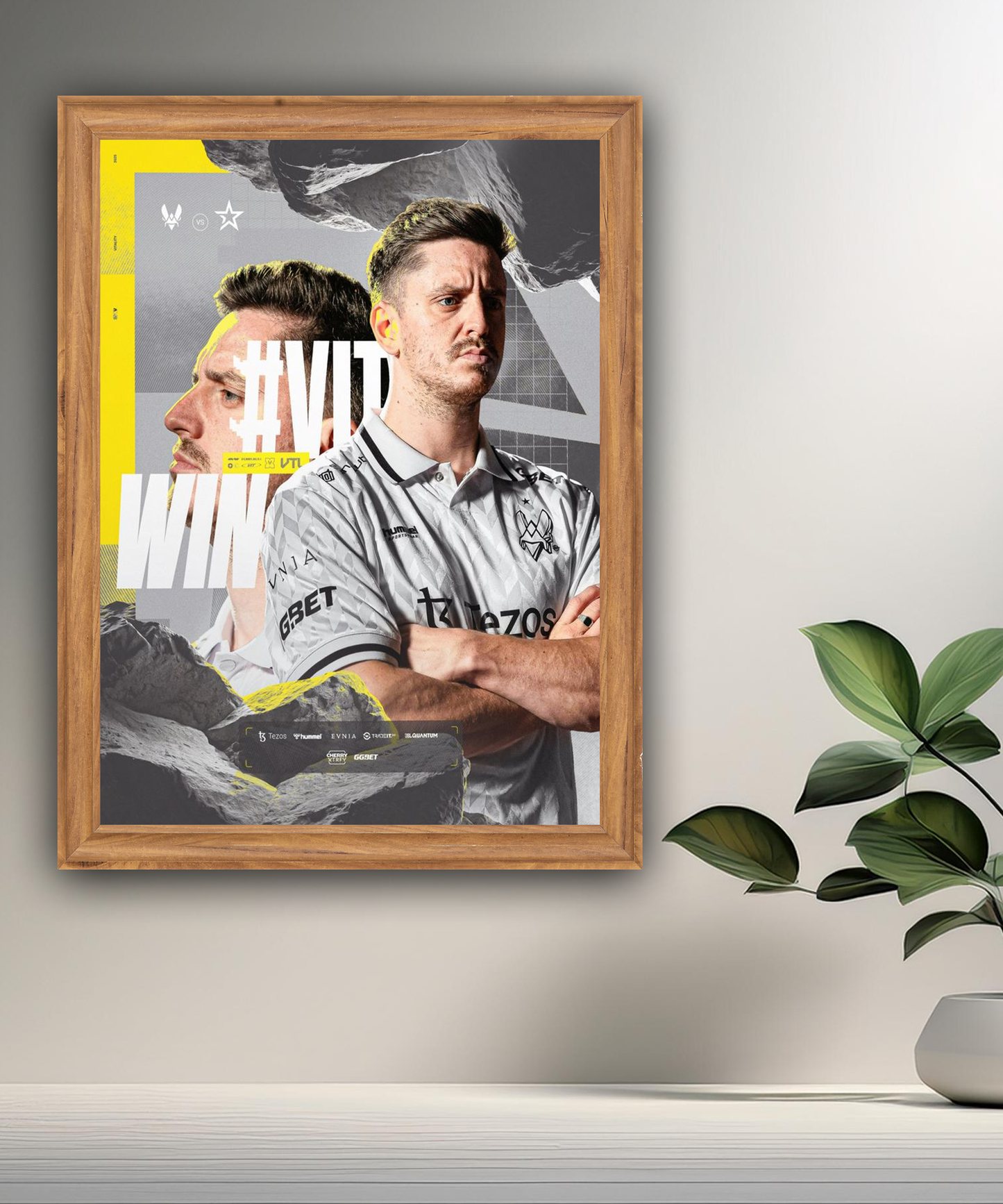 Cadre photo Team Vitality