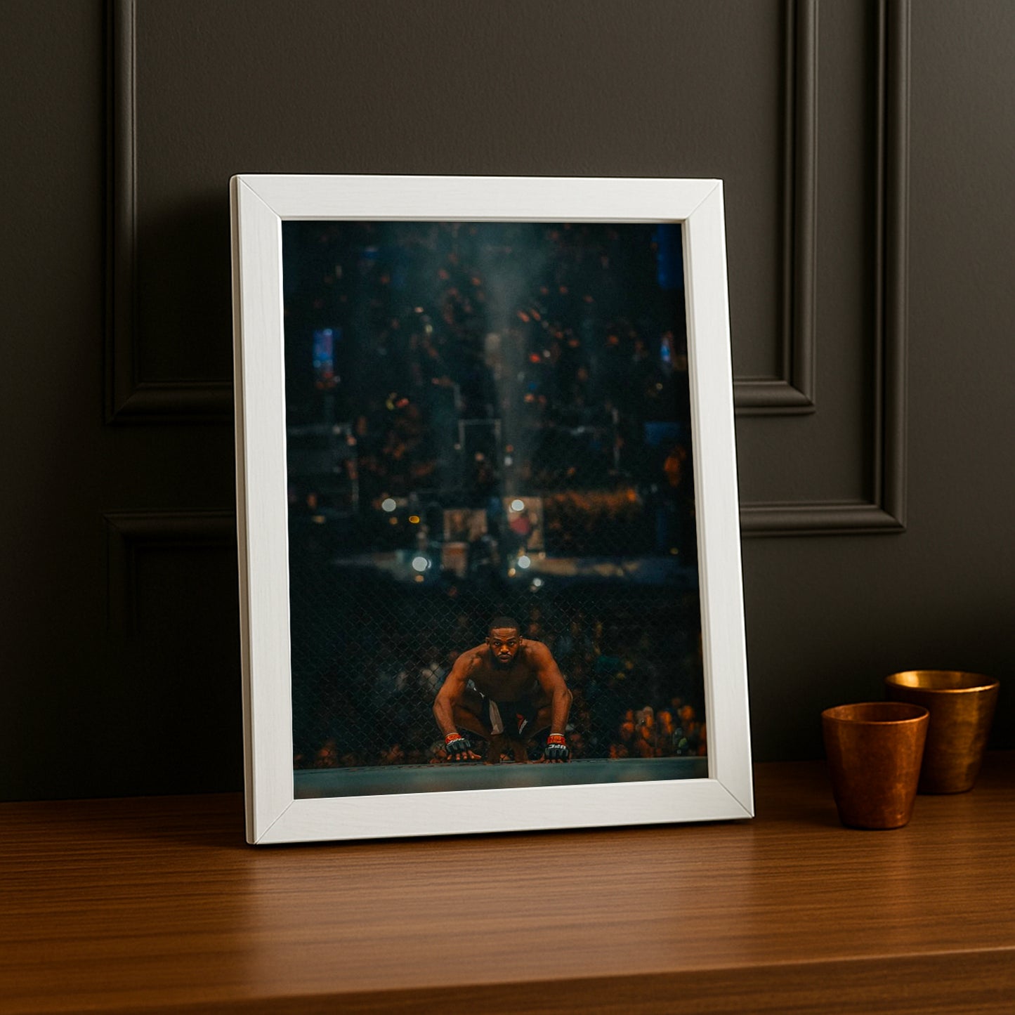 Cadre photo UFC - Jon Bones Jones