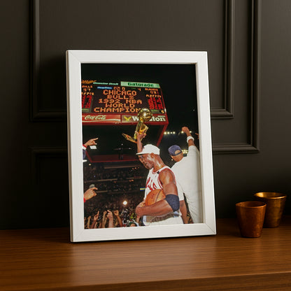 Cadre photo NBA - Chicago Bulls World Champion