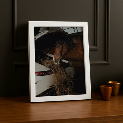 Cadre photo Équitation - Porsche Blanche
