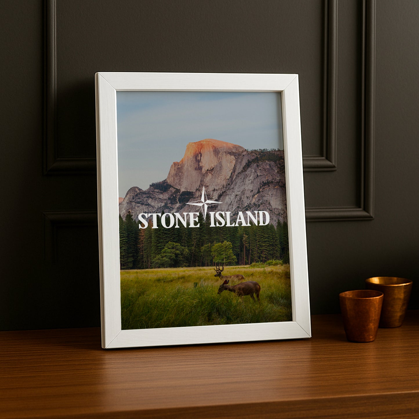 Poster Stone Island - Prairie