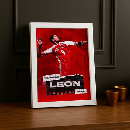 Cadre photo Volley-Ball - Wilfredo Leon