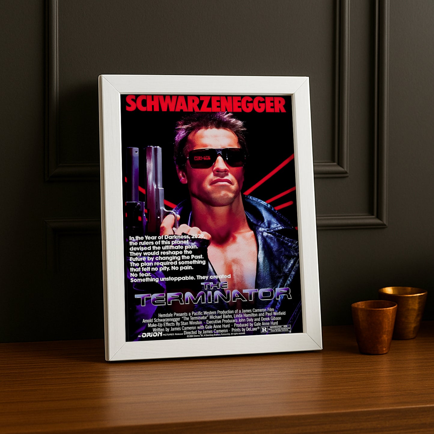 Cadre photo Terminator