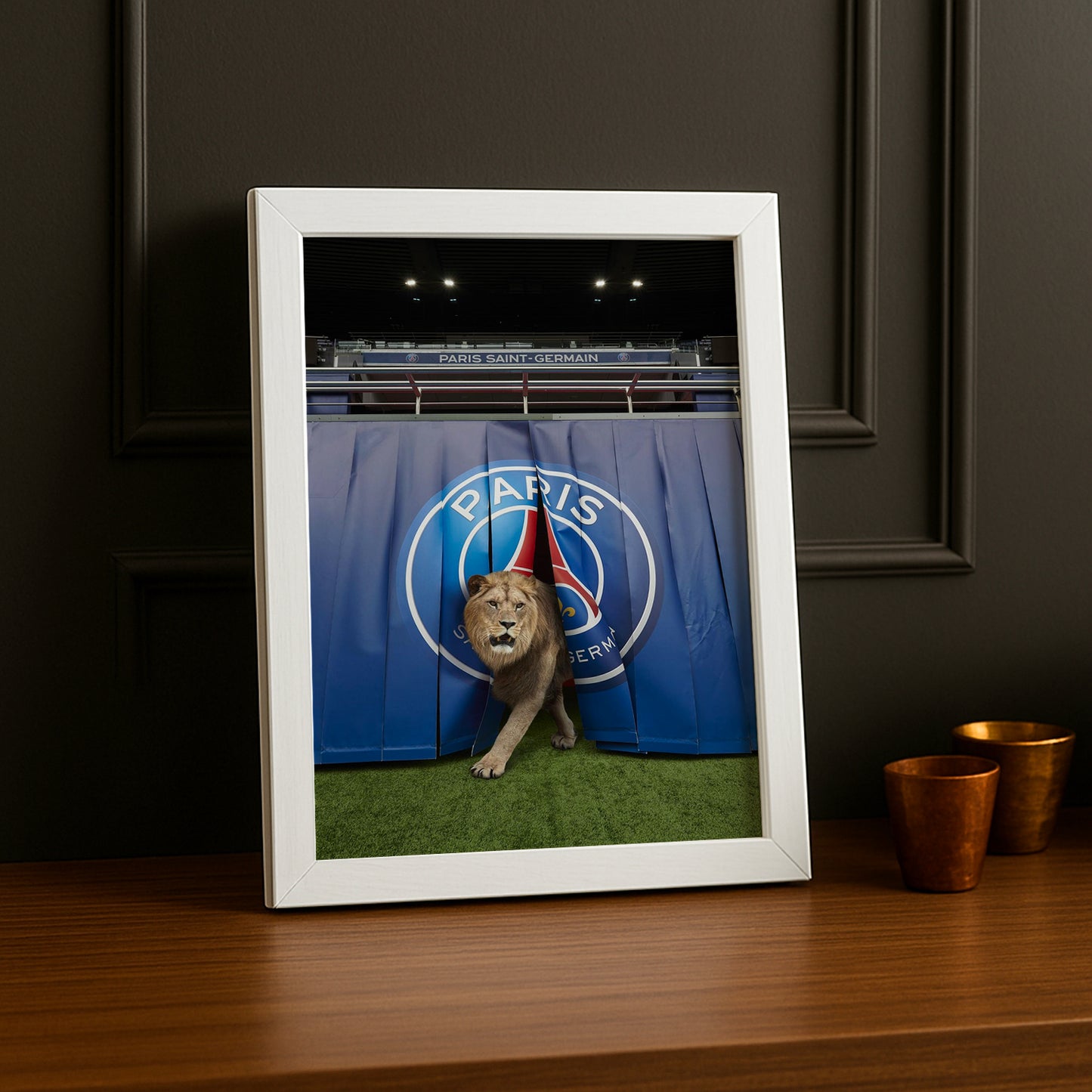 Cadre Photo Paris Saint-Germain - Lion