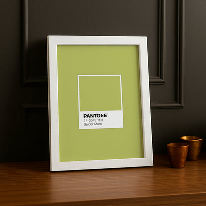 Cadre Photo Pantone Étiquette - Spider Mum