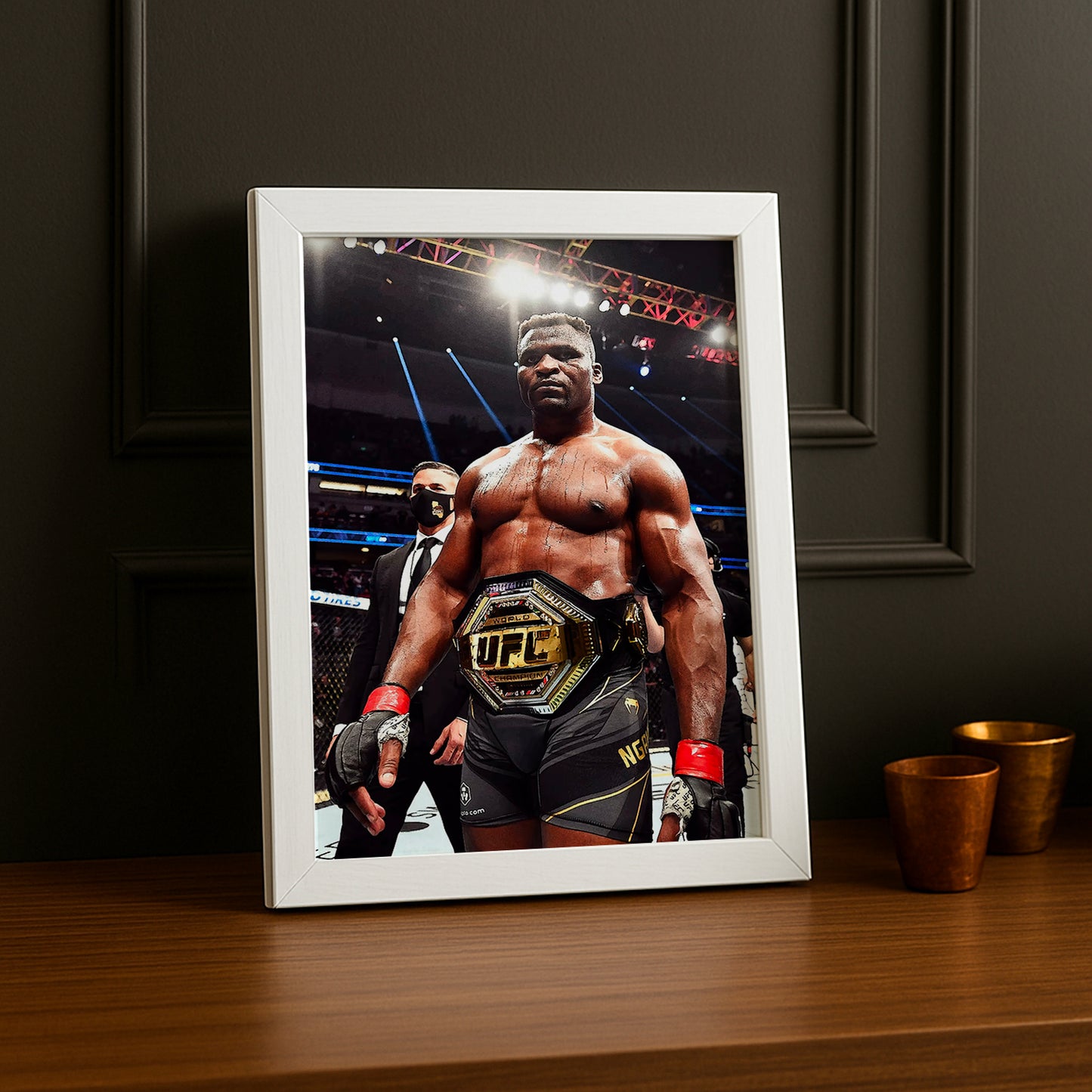 Cadre photo UFC - Francis Ngannou