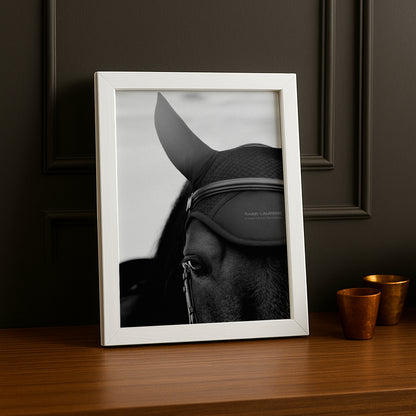 Cadre photo Équitation - Cheval Saint Laurent