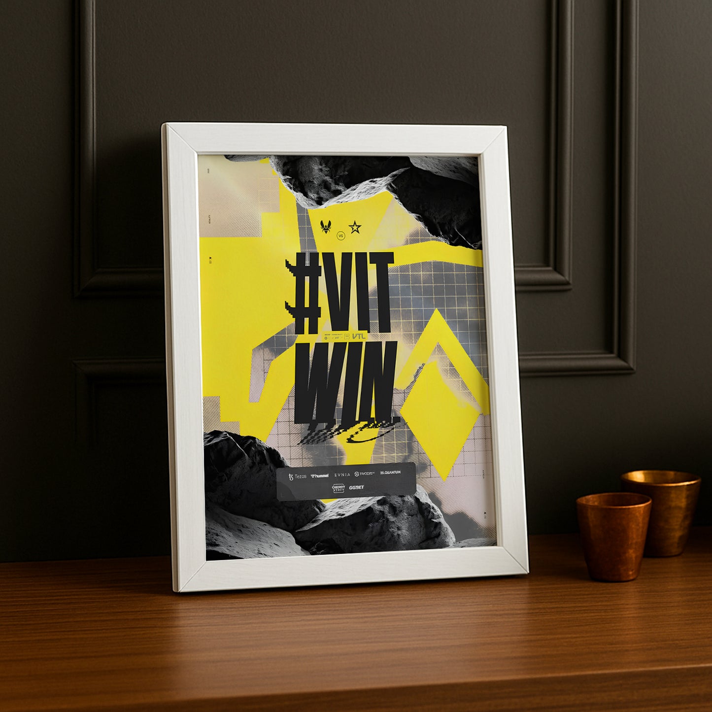 Cadre photo Team Vitality