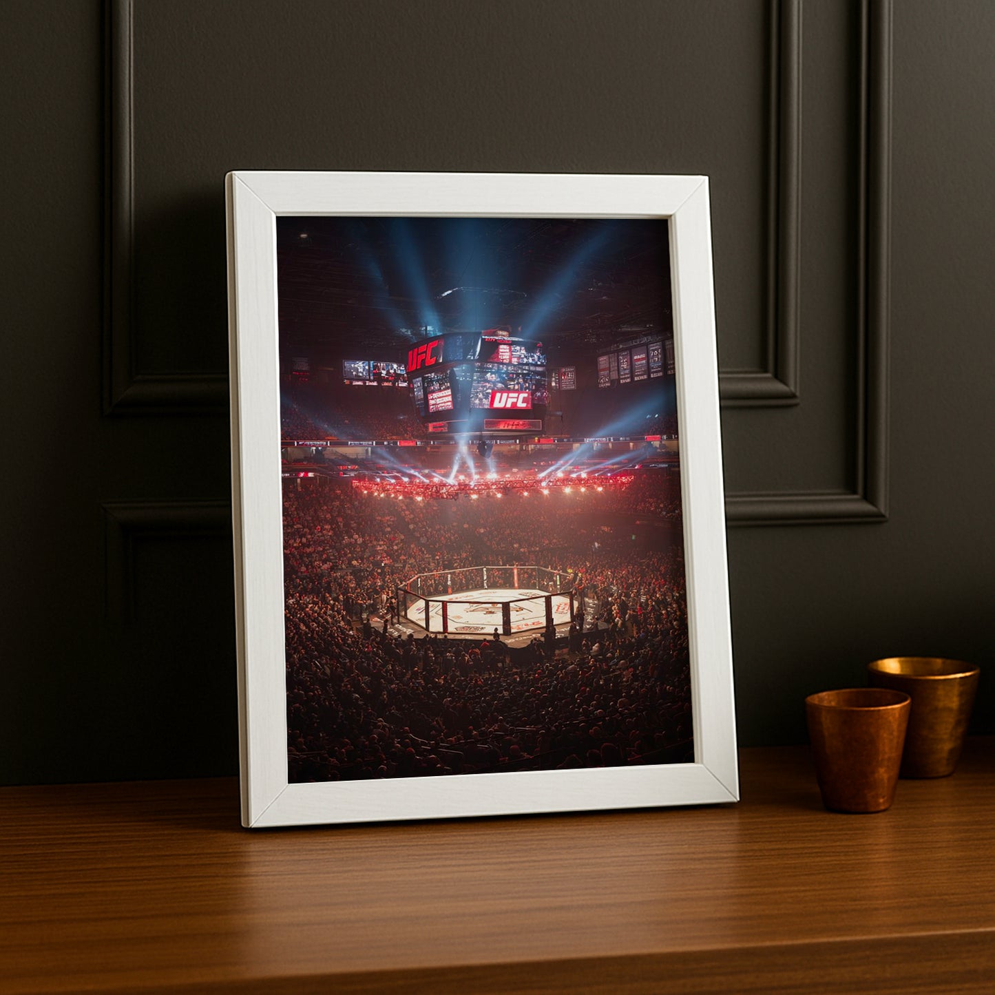 Cadre photo UFC - Cage