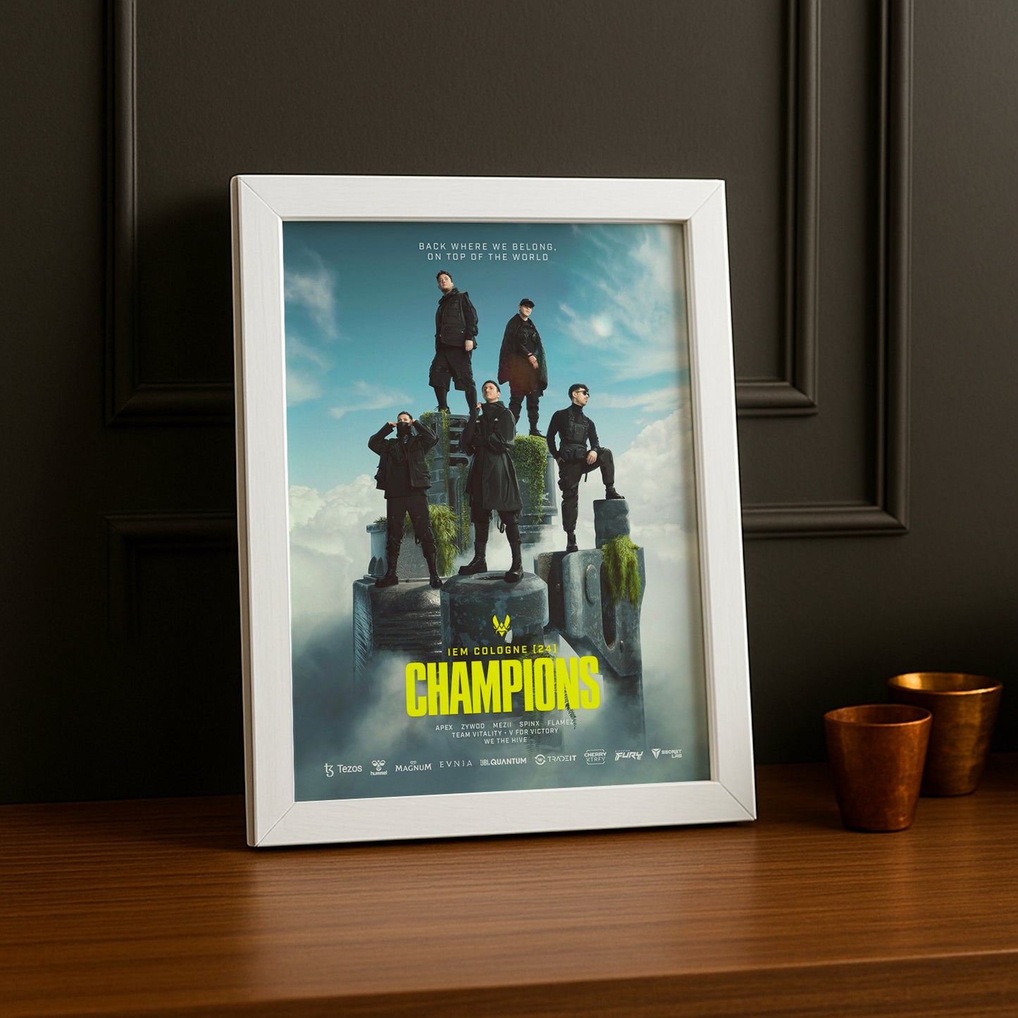 Cadre Photo Vitality - Champions