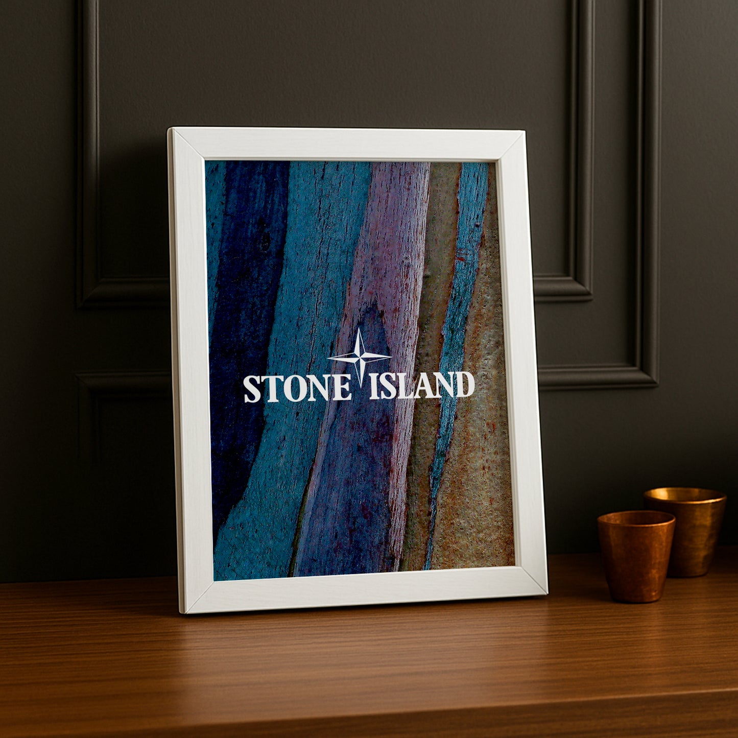 Poster Stone Island - Multicolore