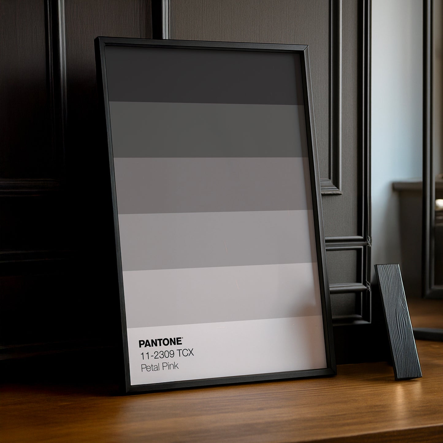 Cadre Photo Pantone Dégradé - Petal Pink