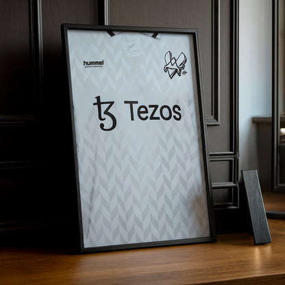 Cadre photo Team Vitality maillot blanc