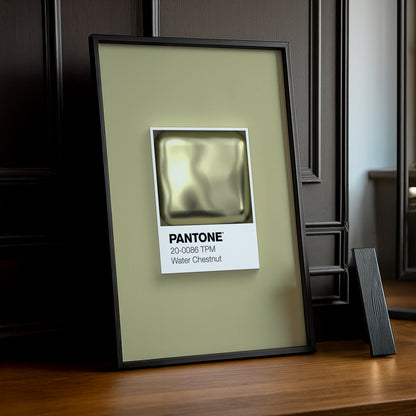 Cadre Photo Pantone Étiquette - Water Chestnut