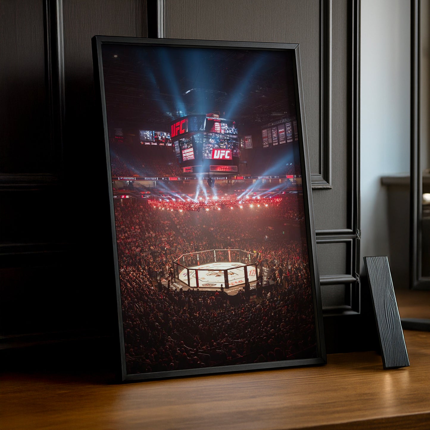 Cadre photo UFC - Cage