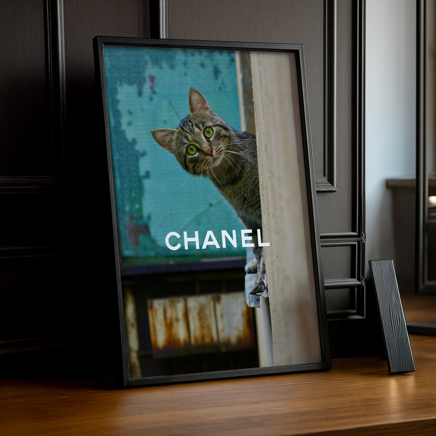 Poster Photo Chanel - Little Cat