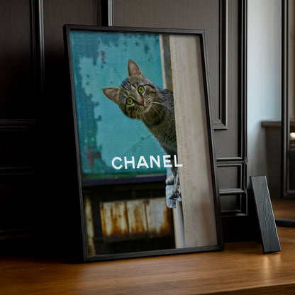 Poster Photo Chanel - Little Cat