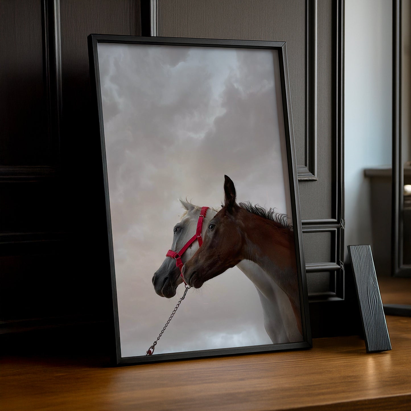 Cadre photo Équitation - Chevaux White x Black