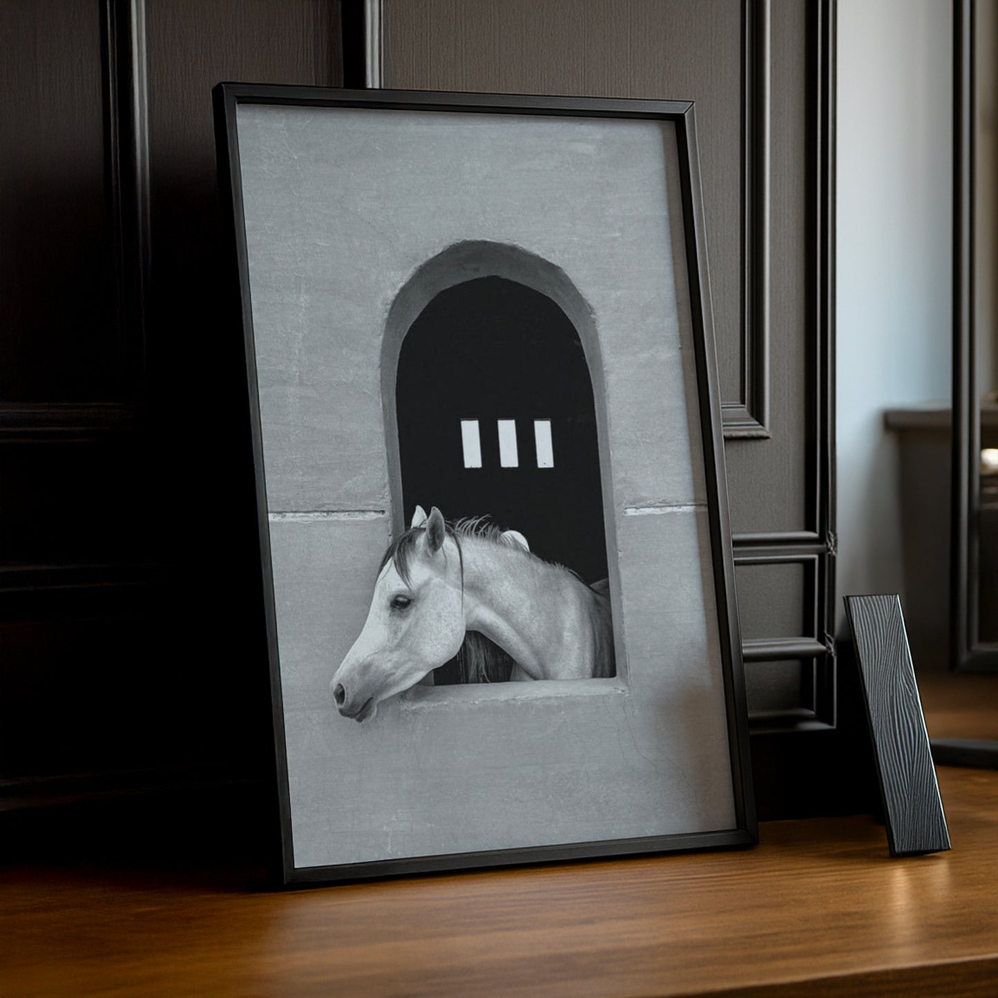 Cadre photo Équitation - White Horse