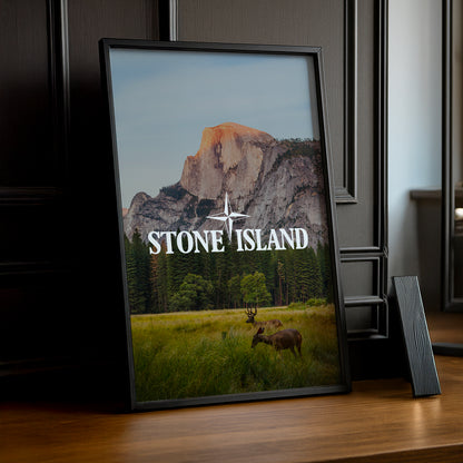 Poster Stone Island - Prairie