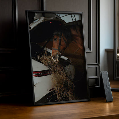 Cadre photo Équitation - Porsche Blanche