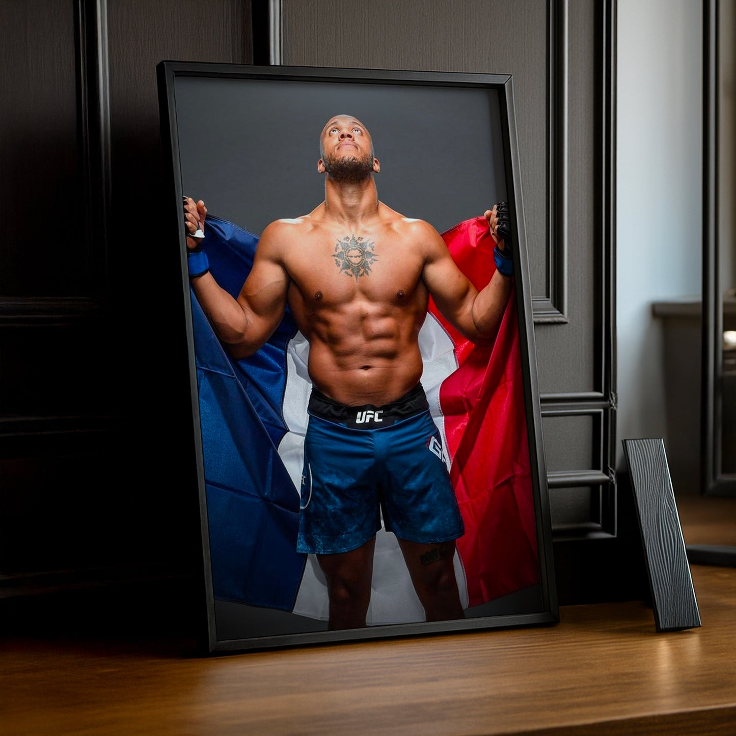 Cadre photo UFC - Ciryl Gane France