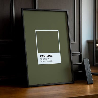 Cadre Photo Pantone Étiquette - Terrarium Moss