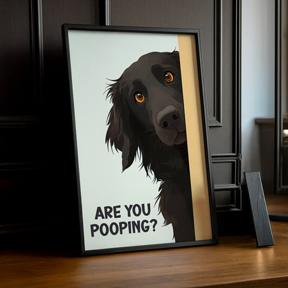 Chien Are You Pooping ? - Poster