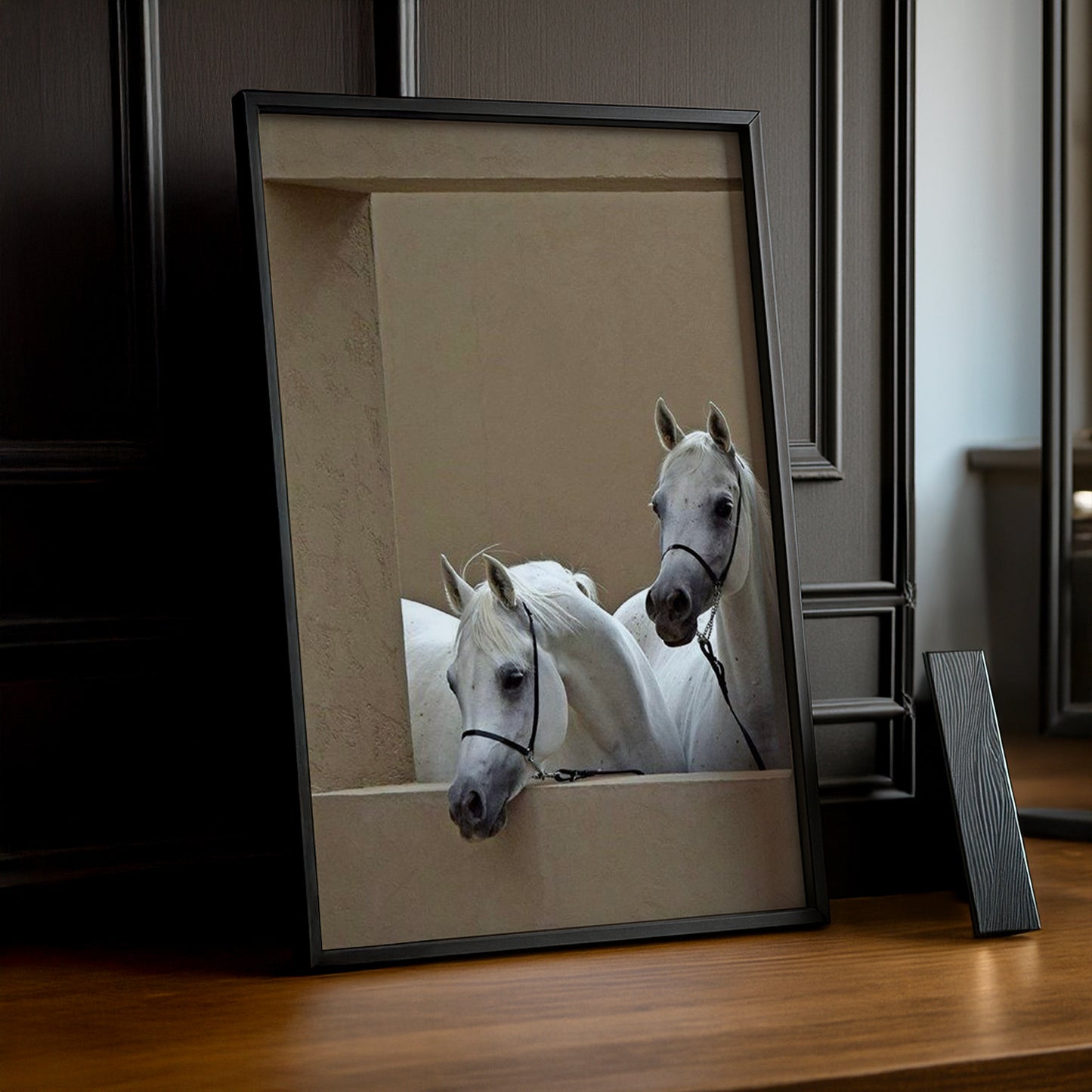 Cadre photo Équitation - Chevaux Blanc