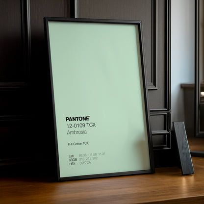 Cadre Photo Pantone - Ambrosia
