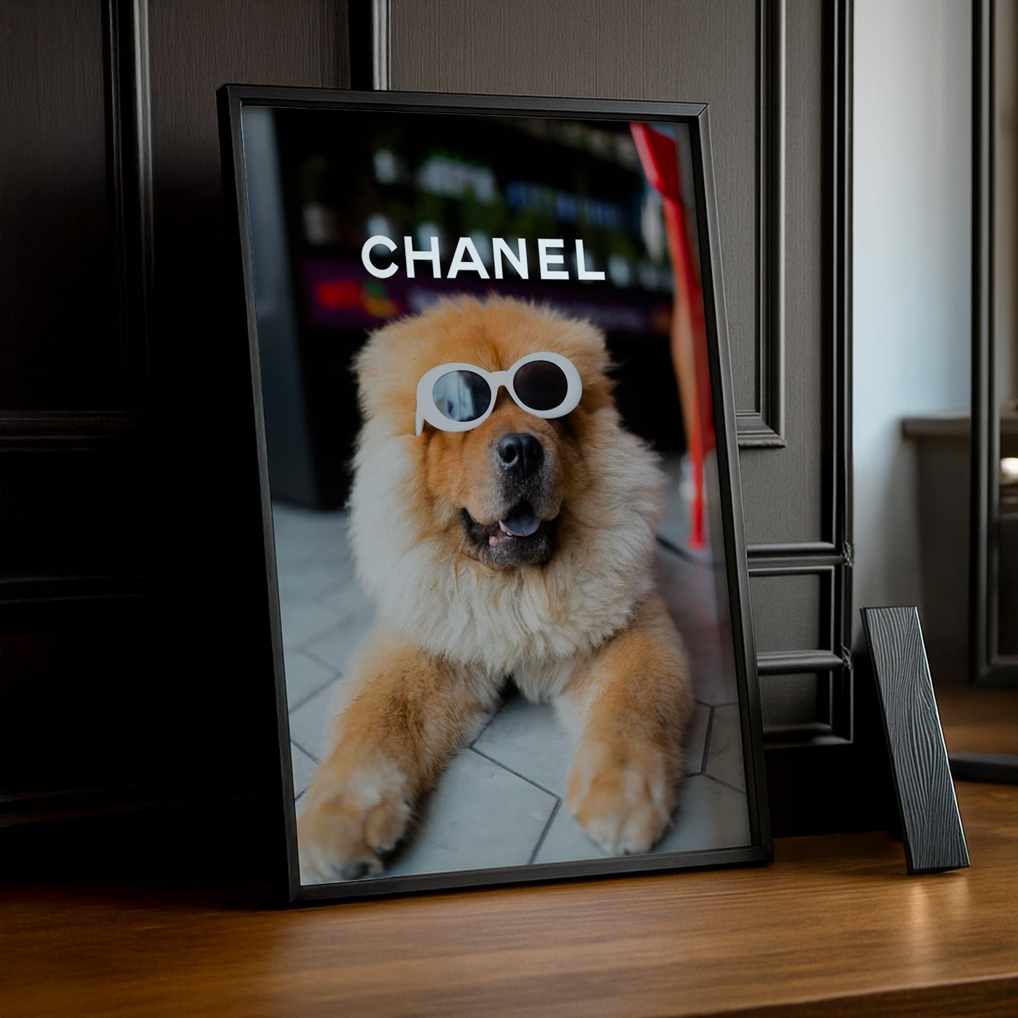Poster Photo Chanel - Chien Cool