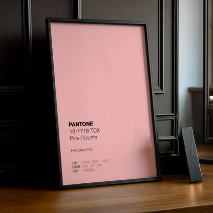 Cadre Photo Pantone - Pale Rosette