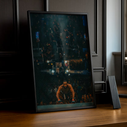 Cadre photo UFC - Jon Bones Jones