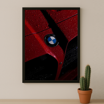 BMW - Calandre Rouge
