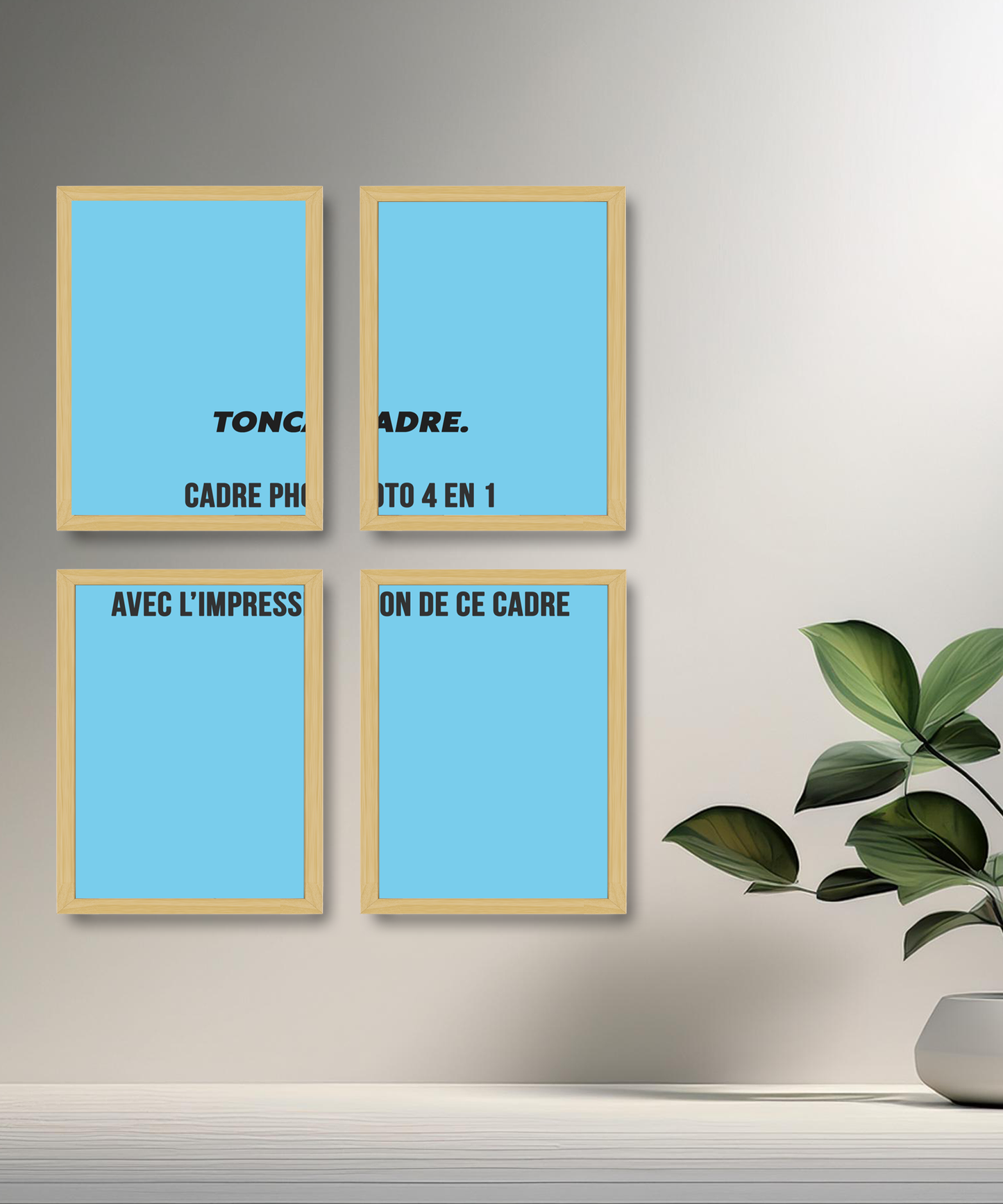 Cadre photo Formule 1