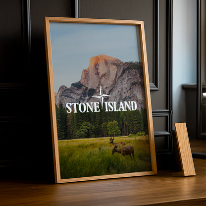 Poster Stone Island - Prairie