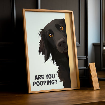 Chien Are You Pooping ? - Poster